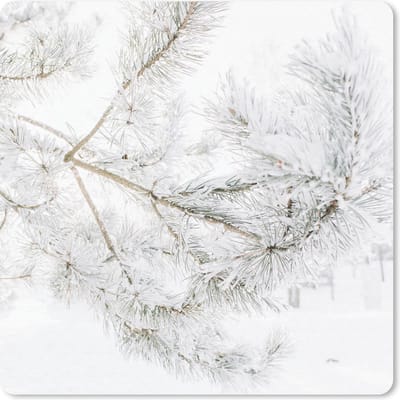Muismat 20x20 cm - Mousepad Winter - Takken - Sneeuw - Muismatten - Kerst - Cadeau - Kerstcadeau voor mannen en voor vrouwen