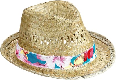 Hoed Fedora Beach Boys