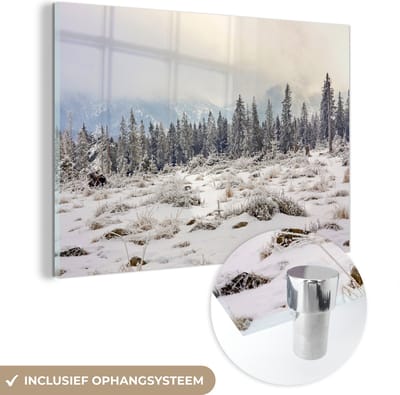 ® Glasschilderij 180x120 cm - Schilderij acrylglas - De mist trekt op in de bossen van het Nationaal park Tatra in Polen - Foto op glas - Muurdecoratie woonkamer - Wanddecoratie slaapkamer - Schilderijen