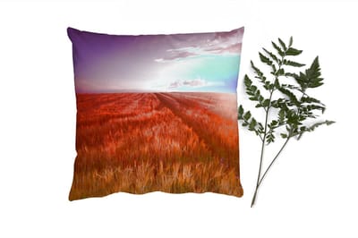 Sierkussens - Kussentjes Woonkamer - 40x40 cm - Grasveld - Zon - Avond - Landschap