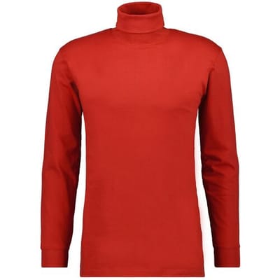 Ragman Long Sleeve Uni Col T-Shirt Single Jersey Dark Wine Red / male