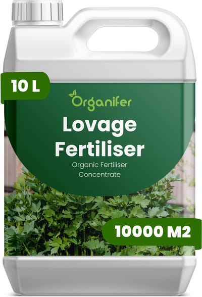 Vloeibare Meststof Voor Lavas 10 L Voor 10000 M2 - Npk 2-1-8 - Voor Bladontwikkeling - Stengelontwikkeling - Wortelontwikkeling - Diepgroen Blad - Hergroei - Hittebestendig - Voor Een Sterker - Kruidenaroma - Organifer
