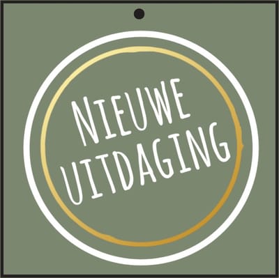 Cadeaukaartje - “Nieuwe Uitdaging” - 20 Stuks - 7mm x 7mm - Wenskaartje - Met boorgaatje - Serie: GOLDY - Metallic goud relief - Kadokaartjes