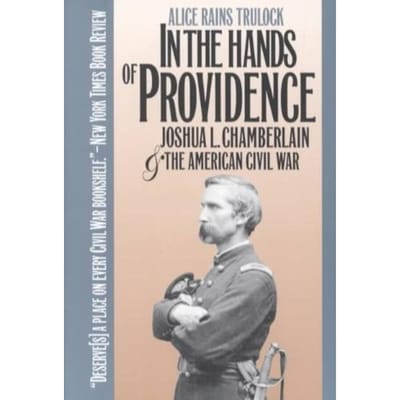 In The Hands Of Providence - Alice Rains Trulock