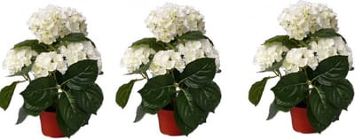 Topart kunstplant met bloemen - 3x stuks - Hortensia - wit - H36 cm - Dia 10 cm - Bloemetjes - Hydrangea