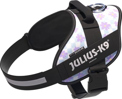 Julius-K9 IDC Powertuig - Hondentuig - XL - Maat 2 - Cartoon