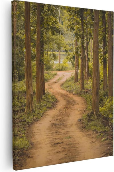Artaza Canvas Schilderij Bos - 80x100 cm - Groot - Wanddecoratie Landschap - Muurdecoratie Bospad - Schilderijen Op Canvas Natuur