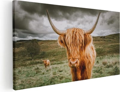 Artaza Canvas Schilderij Schotse Hooglander - 40x20 cm - Klein - Wanddecoratie Woonkamer - Muurdecoratie Dieren - Schilderijen Op Canvas
