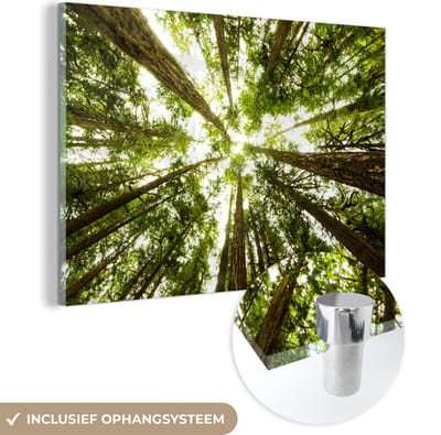 MuchoWow® Glasschilderij 60x40 cm - Schilderij acrylglas - Hoge groene bomen in jungle - Foto op glas - Schilderijen
