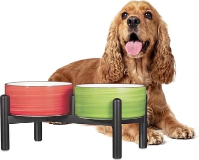 Set van verhoogde keramische voer- en drinkbakken voor kleine en middelgrote honden, 350g/660ml, dubbel staand ontwerp, ideaal voor comfortabel eten en drinken