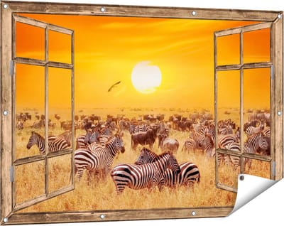 Gards Tuinposter Doorkijk Kudde Zebra's bij een Oranje Zonsondergang - 120x80 cm - Tuindoek - Tuindecoratie - Wanddecoratie buiten - Tuinschilderij