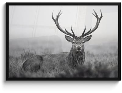 Poster in lijst - Fotolijst 90x60 cm - Posters - Hert - Mistig - Zwart - Wit - Posterlijst zwart - Decoratie - Wanddecoratie woonkamer - Muurdecoratie slaapkamer