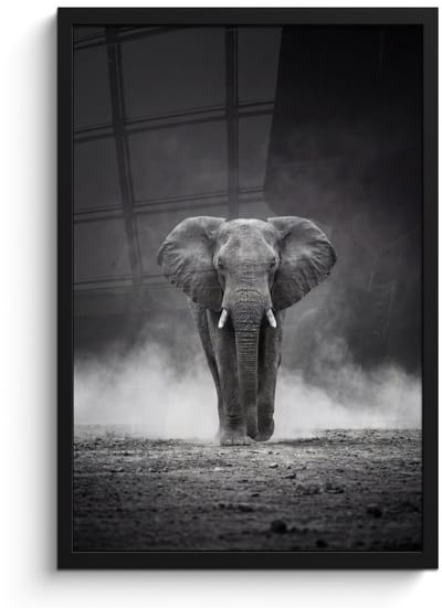 Poster in lijst - Fotolijst 40x60 cm - Posters - Olifant - Zwart - Wit - Rook - Posterlijst zwart - Decoratie - Wanddecoratie woonkamer - Muurdecoratie slaapkamer