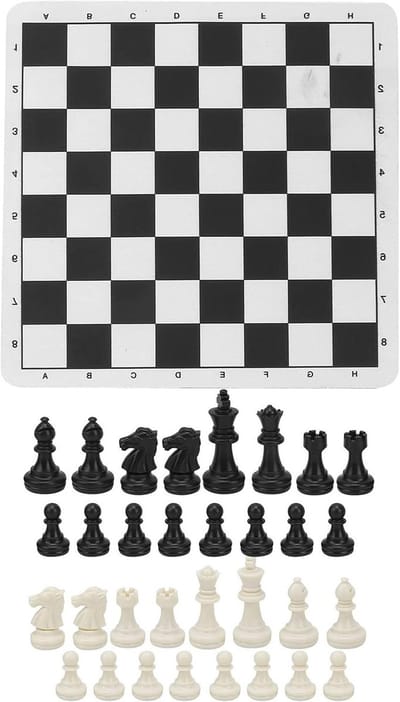 Schaakspel Set - Reisbordspel - Logisch Denken Trainen - Draagbaar Met Tas - 24x24cm Bord - Zwart Wit
