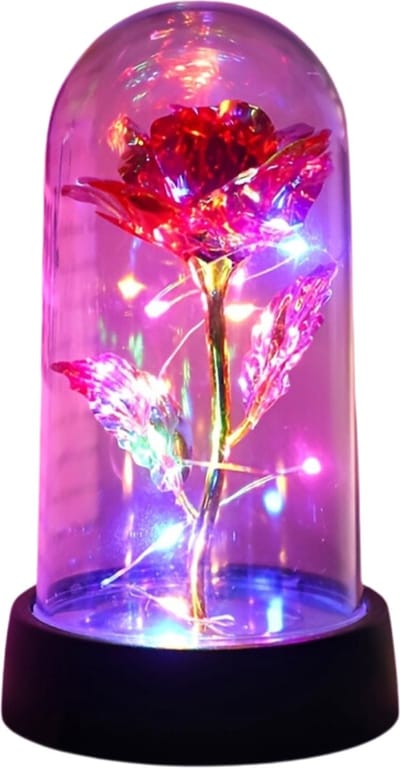 Bovista Onsterfelijke Roos - Roos In Glas - In Stolp - Galaxy - Roos In Glazen Stolp - Roos In Doos - Valentijn Cadeautje Voor Haar - Valentijn Cadeautje Voor Hem - Rood