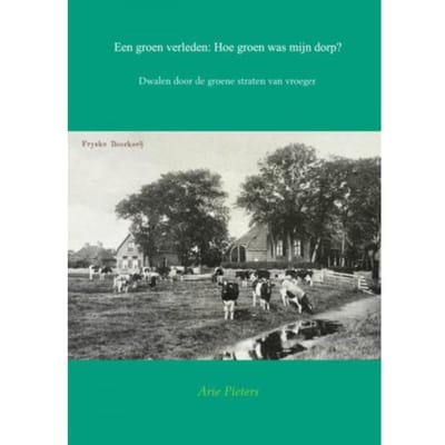 Een Groen Verleden: Hoe Groen Was Mijn Dorp? - Arie Pieters