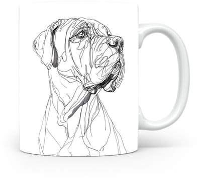 Beker Fila Brasileiro