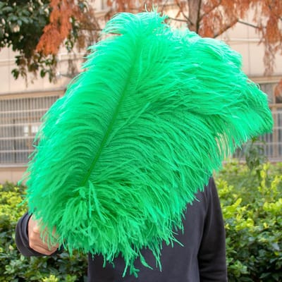 10 STUKS Rode Struisvogelveren Bulk 15-60CM Natuurlijke Veren Voor Knutselen Bruiloft Feest Tafeldecoraties Decoratie Carnaval Plumas 15-20CM 6-8INCH