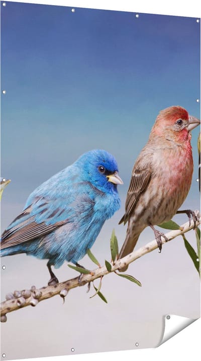 Gards Tuinposter Kleurrijke Zangvogels op een Tak - Kleur - 120x180 cm - Tuindoek - Tuindecoratie - Wanddecoratie buiten - Tuinschilderij