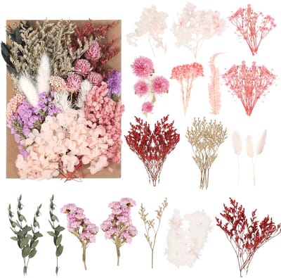 Unyqoos® Kleurrijke Gedroogde Bloemen Set voor Creatieve Doe-Het-Zelf Projecten