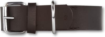 Hondenhalsband Plain Black-Gold 30 cm lang