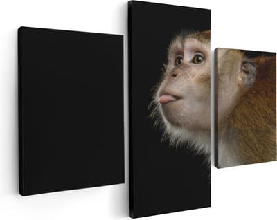 Artaza Canvas Schilderij Drieluik Apenkop Met Zijn Tong Uit - Aap - 90x60 - Foto Op Canvas - Canvas Print
