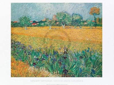 Kunstdruk Vincent Van Gogh - Vista di Arles Con Irises 80x60cm