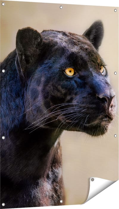Gards Tuinposter Zwarte Panter met Oranje Ogen - 80x120 cm - Tuindoek - Tuindecoratie - Wanddecoratie buiten - Tuinschilderij