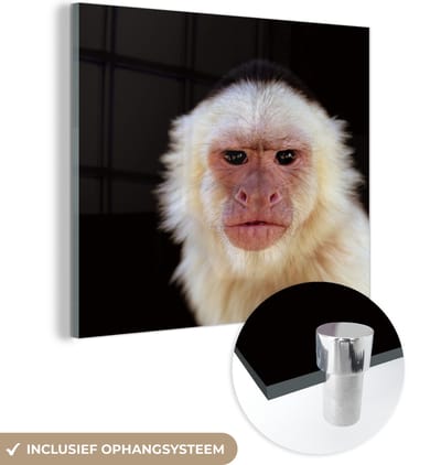 MuchoWow® Glasschilderij 50x50 cm - Schilderij acrylglas - Aap - Vacht - Zwart - Foto op glas - Schilderijen