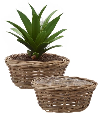 DK Design Plantenmand/aardappelmand tafelmodel - 2x - Ivy - met binnenzak - rotan - B30 x H13 cm - binnen/buiten