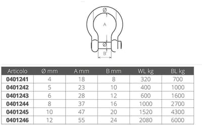 Wichard Boogschakel Zilver 8 mm