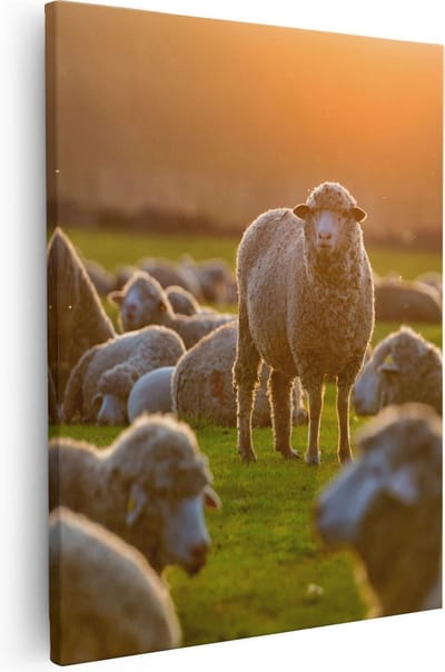 Artaza Canvas Schilderij Kudde Schapen - 40x50 cm - Muurdecoratie Landschap - Wanddecoratie Boerderij - Schilderijen Op Canvas