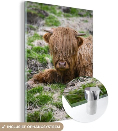 MuchoWow® Glasschilderij 120x160 cm - Schilderij acrylglas - Schotse Hooglander - Hooi - Gras - Foto op glas - Schilderijen