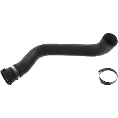 Radiatorslang FEBI BILSTEIN 49746