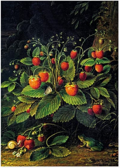 Theedoek, Schlesinger, Aardbeien