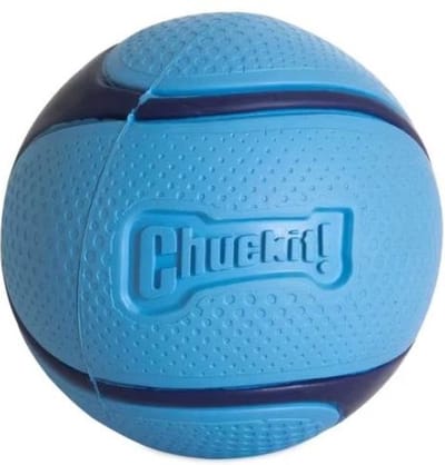 Chuckit Sniff Fetch Bal – Apporteerspeelgoed met Bacongeur – voor Honden – Waterbestendig – Drijvend - Interactief – Onweerstaanbaar - Blauw – Rubber - Medium