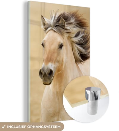 MuchoWow® Glasschilderij 40x60 cm - Schilderij acrylglas - Paarden - Dieren - Manen - Portret - Foto op glas - Schilderijen