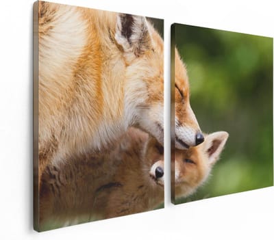 Artaza Canvas Schilderij Tweeluik Moeder Vos met haar Welp  - 120x80 - Foto Op Canvas - Canvas Print