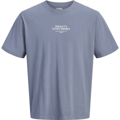Jack & Jones Jj rebel heren backprint t-shirt jrebchristian grijsblauw