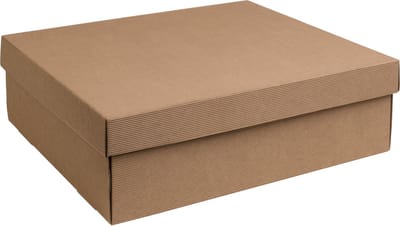 Geschenkdoos met deksel karton NATUREL 40x30x12cm (35 stuks)
