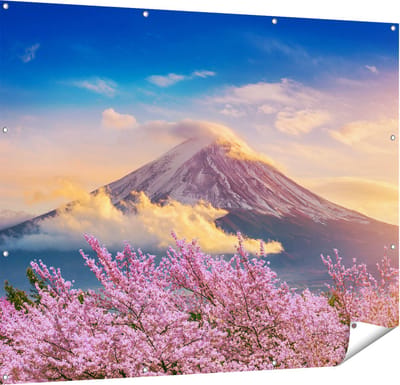 Gards Tuinposter Fuji Berg met Roze Bloesembomen - Bloemen - 150x120 cm - Tuindoek - Tuindecoratie - Wanddecoratie buiten - Tuinschilderij