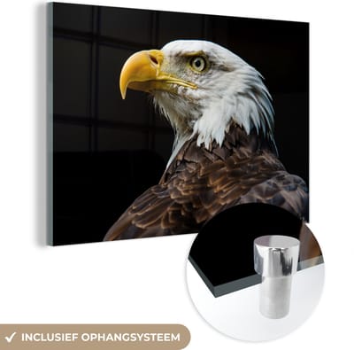 MuchoWow® Glasschilderij 60x40 cm - Schilderij acrylglas - Adelaar - Vogel - Ogen - Snavel - Foto op glas - Schilderijen