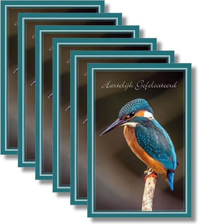 6x dubbele wenskaart met envelop - Hartelijk Gefeliciteerd  - 11,5 x 17 cm