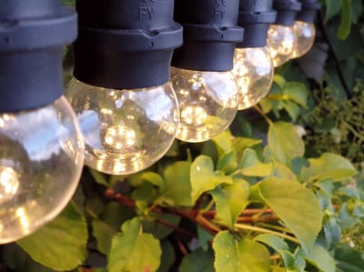 HappyLights lichtsnoer buiten [Outdoor] Clear - 50 LED's - 25m