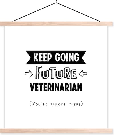 Posterhanger incl. Poster 40x40 cm - Schoolplaat - Quote - Dierenarts - Studeren - Textielposter - Blanke latten