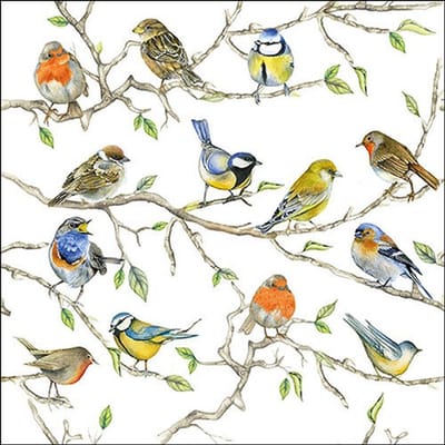 Cocktail servetten Birds Meeting - Ambiente - 25x25 cm