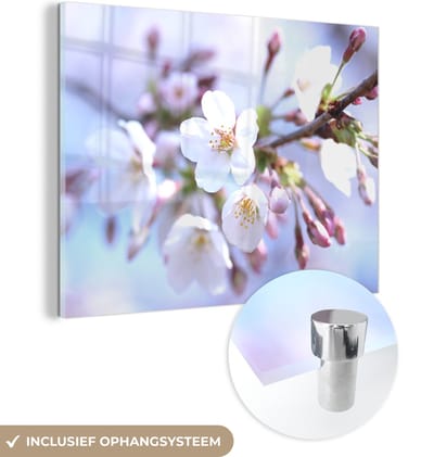 MuchoWow® Glasschilderij 160x120 cm - Schilderij acrylglas - Bloemen - Sakura - Tak - Foto op glas - Schilderijen