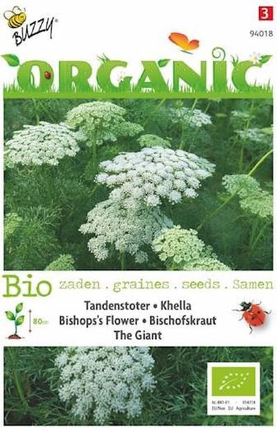 Tandenstoter the Giant Organic Seeds (Bio)