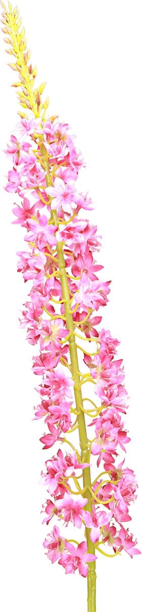 Steppe kaars Desert Tail Roze 106cm