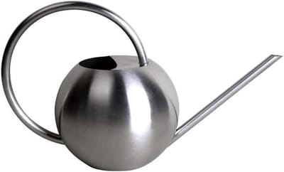 Gieter Lange Mond - Roestvrijstalen Gieter - Planten Water Geven - Decoratief en Functioneel - 1 Liter Capaciteit - Blauw Zilver